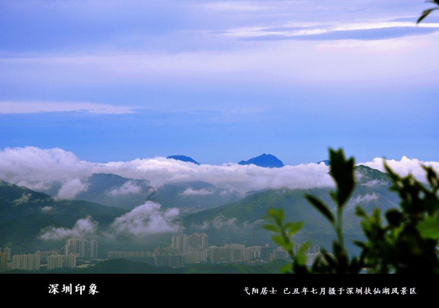 白孔雀救援